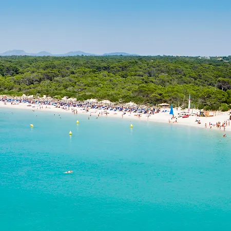 Hotel Universal Marques 4*